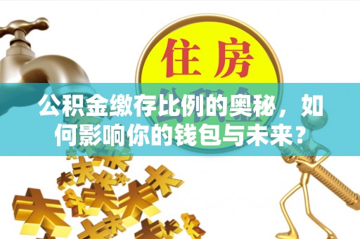泸水公积金缴存比例的奥秘，如何影响你的钱包与未来？