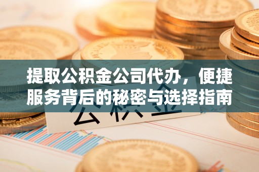 泸水提取公积金公司代办，便捷服务背后的秘密与选择指南