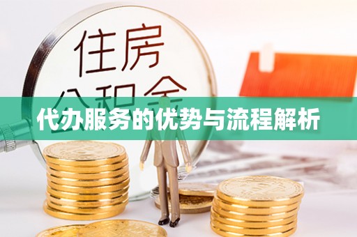 泸水代办服务的优势与流程解析