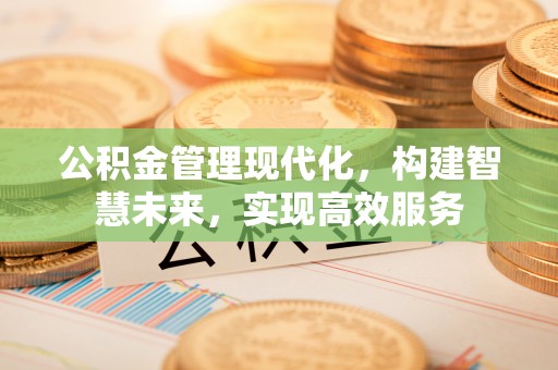 泸水公积金管理现代化，构建智慧未来，实现高效服务