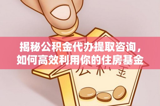 泸水揭秘公积金代办提取咨询，如何高效利用你的住房基金