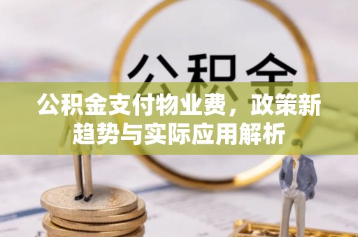 泸水公积金支付物业费，政策新趋势与实际应用解析