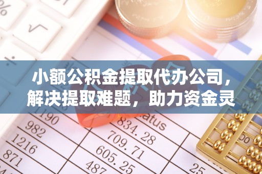 泸水小额公积金提取代办公司，解决提取难题，助力资金灵活使用