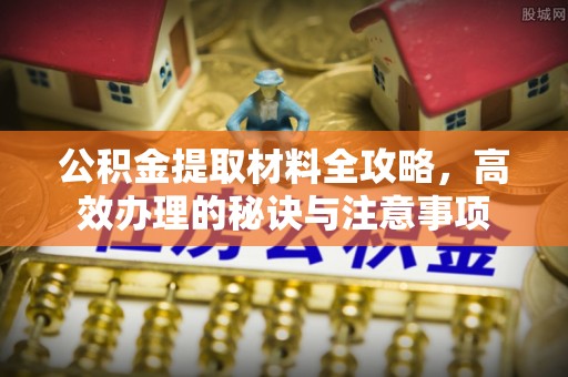 泸水公积金提取材料全攻略，高效办理的秘诀与注意事项
