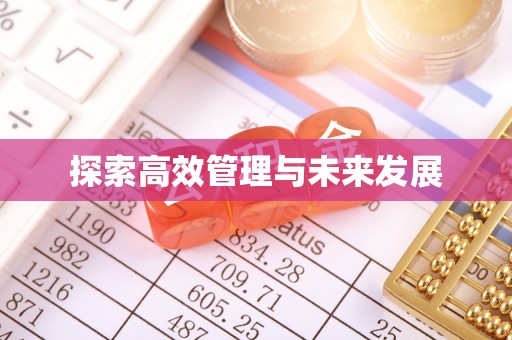泸水探索高效管理与未来发展