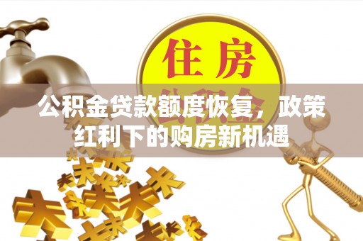 泸水公积金贷款额度恢复，政策红利下的购房新机遇