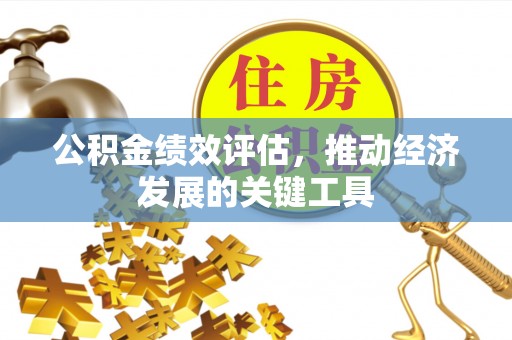 泸水公积金绩效评估，推动经济发展的关键工具