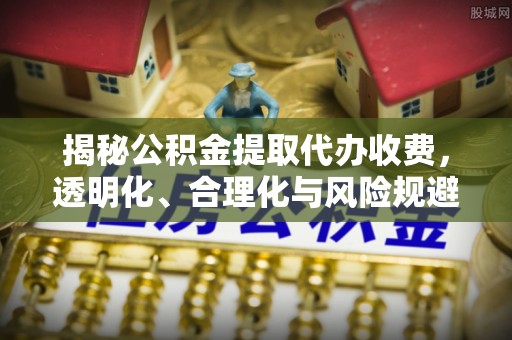 泸水揭秘公积金提取代办收费，透明化、合理化与风险规避之道