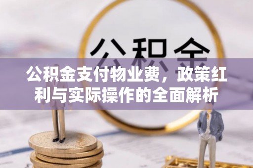 泸水公积金支付物业费，政策红利与实际操作的全面解析