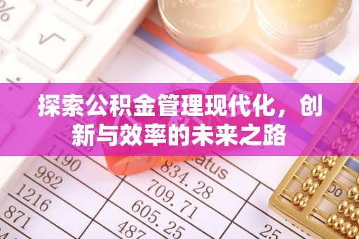 泸水探索公积金管理现代化，创新与效率的未来之路