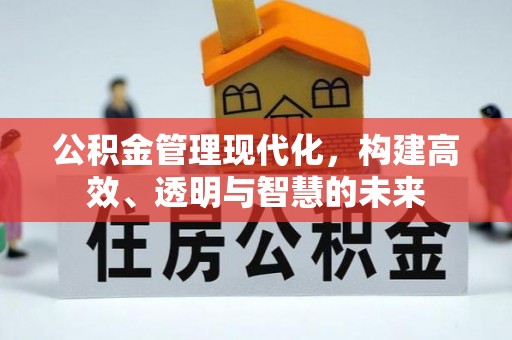泸水公积金管理现代化，构建高效、透明与智慧的未来