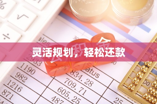 泸水灵活规划，轻松还款