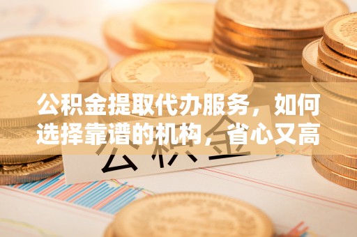 泸水公积金提取代办服务，如何选择靠谱的机构，省心又高效