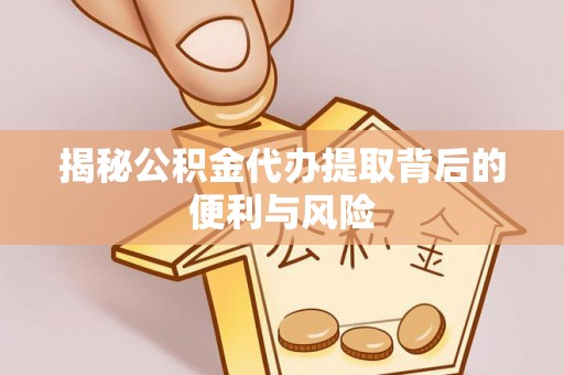 泸水揭秘公积金代办提取背后的便利与风险