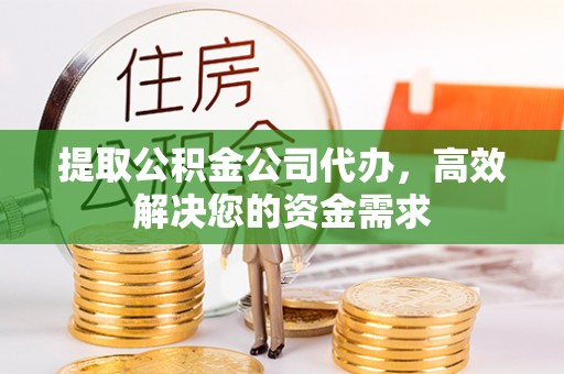 泸水提取公积金公司代办，高效解决您的资金需求