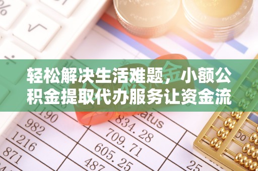 泸水轻松解决生活难题，小额公积金提取代办服务让资金流动更便捷