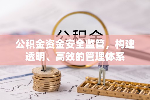 泸水公积金资金安全监管，构建透明、高效的管理体系
