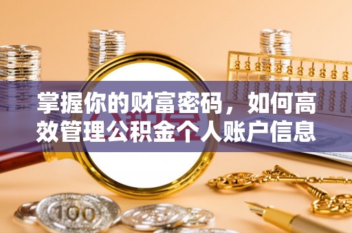 泸水掌握你的财富密码，如何高效管理公积金个人账户信息