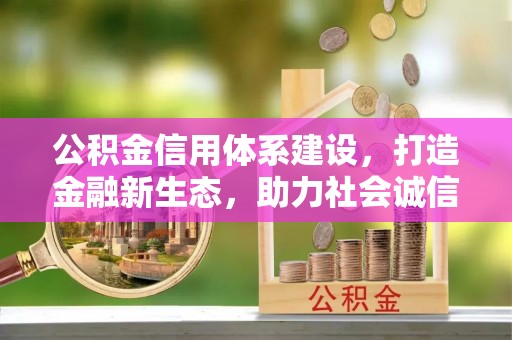 泸水公积金信用体系建设，打造金融新生态，助力社会诚信发展