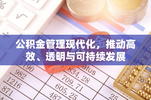 泸水公积金管理现代化，推动高效、透明与可持续发展