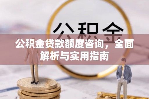 泸水公积金贷款额度咨询，全面解析与实用指南