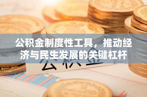 泸水公积金制度性工具，推动经济与民生发展的关键杠杆