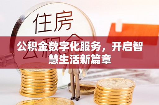 泸水公积金数字化服务，开启智慧生活新篇章