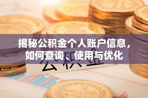 泸水揭秘公积金个人账户信息，如何查询、使用与优化