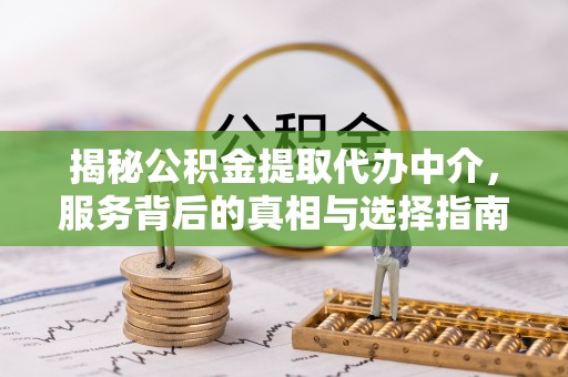 泸水揭秘公积金提取代办中介，服务背后的真相与选择指南