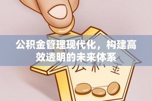 泸水公积金管理现代化，构建高效透明的未来体系