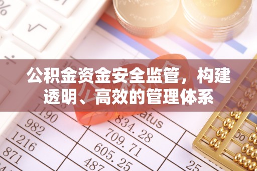 泸水公积金资金安全监管，构建透明、高效的管理体系