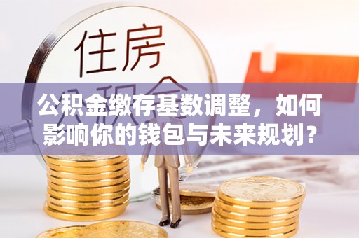 泸水公积金缴存基数调整，如何影响你的钱包与未来规划？