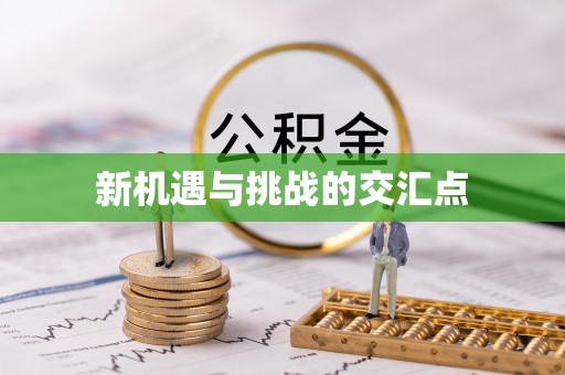 泸水新机遇与挑战的交汇点