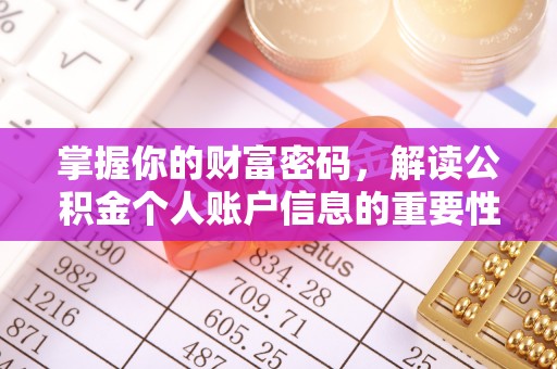 泸水掌握你的财富密码，解读公积金个人账户信息的重要性