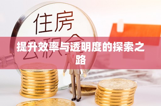 泸水提升效率与透明度的探索之路