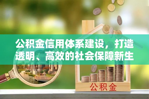 泸水公积金信用体系建设，打造透明、高效的社会保障新生态