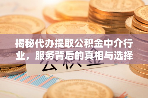 泸水揭秘代办提取公积金中介行业，服务背后的真相与选择指南