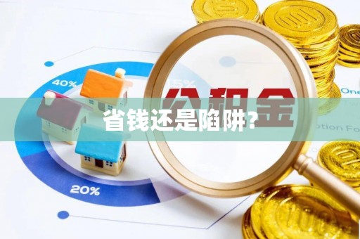 泸水省钱还是陷阱？