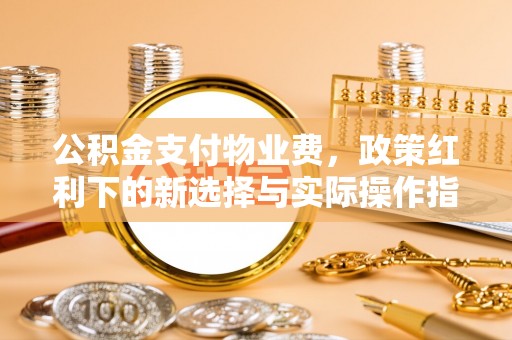 泸水公积金支付物业费，政策红利下的新选择与实际操作指南