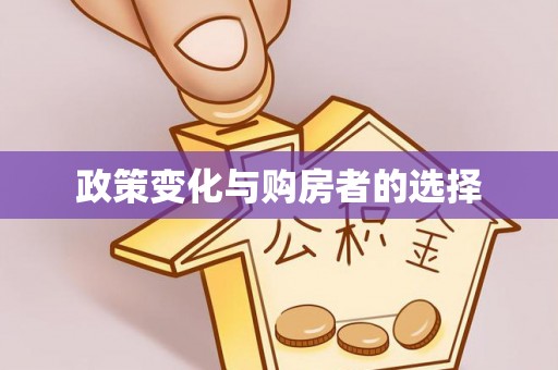 泸水政策变化与购房者的选择