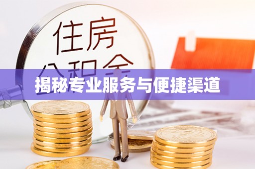 泸水揭秘专业服务与便捷渠道