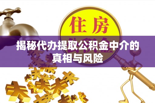 泸水揭秘代办提取公积金中介的真相与风险