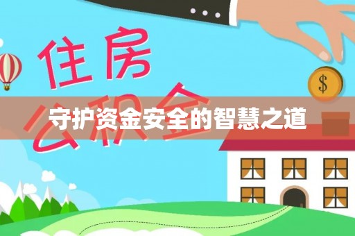 泸水守护资金安全的智慧之道