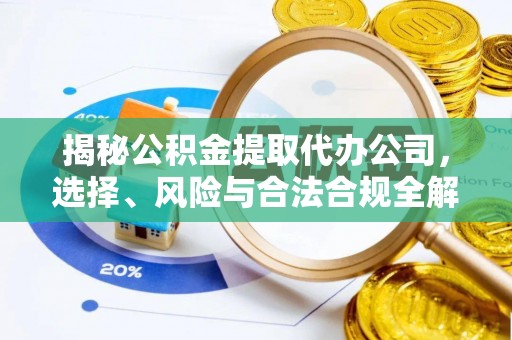 泸水揭秘公积金提取代办公司，选择、风险与合法合规全解析