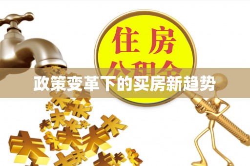 泸水政策变革下的买房新趋势