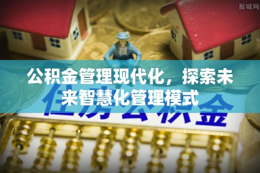 泸水公积金管理现代化，探索未来智慧化管理模式