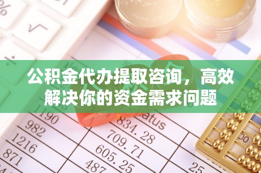 泸水公积金代办提取咨询，高效解决你的资金需求问题