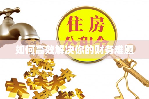泸水如何高效解决你的财务难题