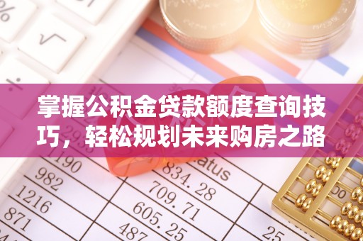 泸水掌握公积金贷款额度查询技巧，轻松规划未来购房之路