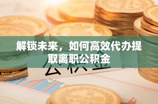 泸水解锁未来，如何高效代办提取离职公积金